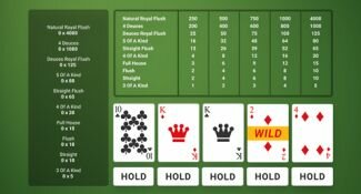 Dicas e Estratégias para Vídeo Poker Deuces Wild