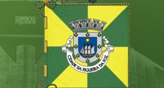 Bandeira da Figueira da Foz