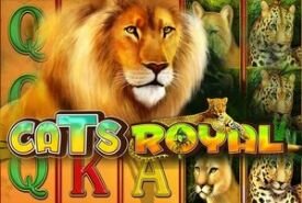 Cats Royal Revisão