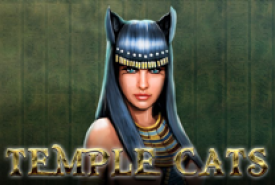 Temple Cats Revisão