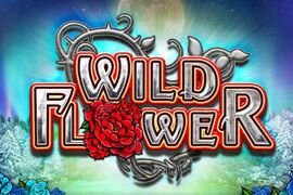 Wild Flower, uma slot Online da Big Time Gaming