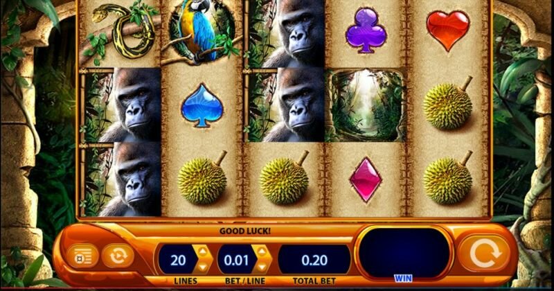 Jogue Amazon Queen, uma slot online da WMS slot online gratuitamente | Casino Portugal