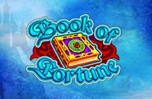 Book of Fortune slot