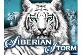 Siberian Storm Revisão